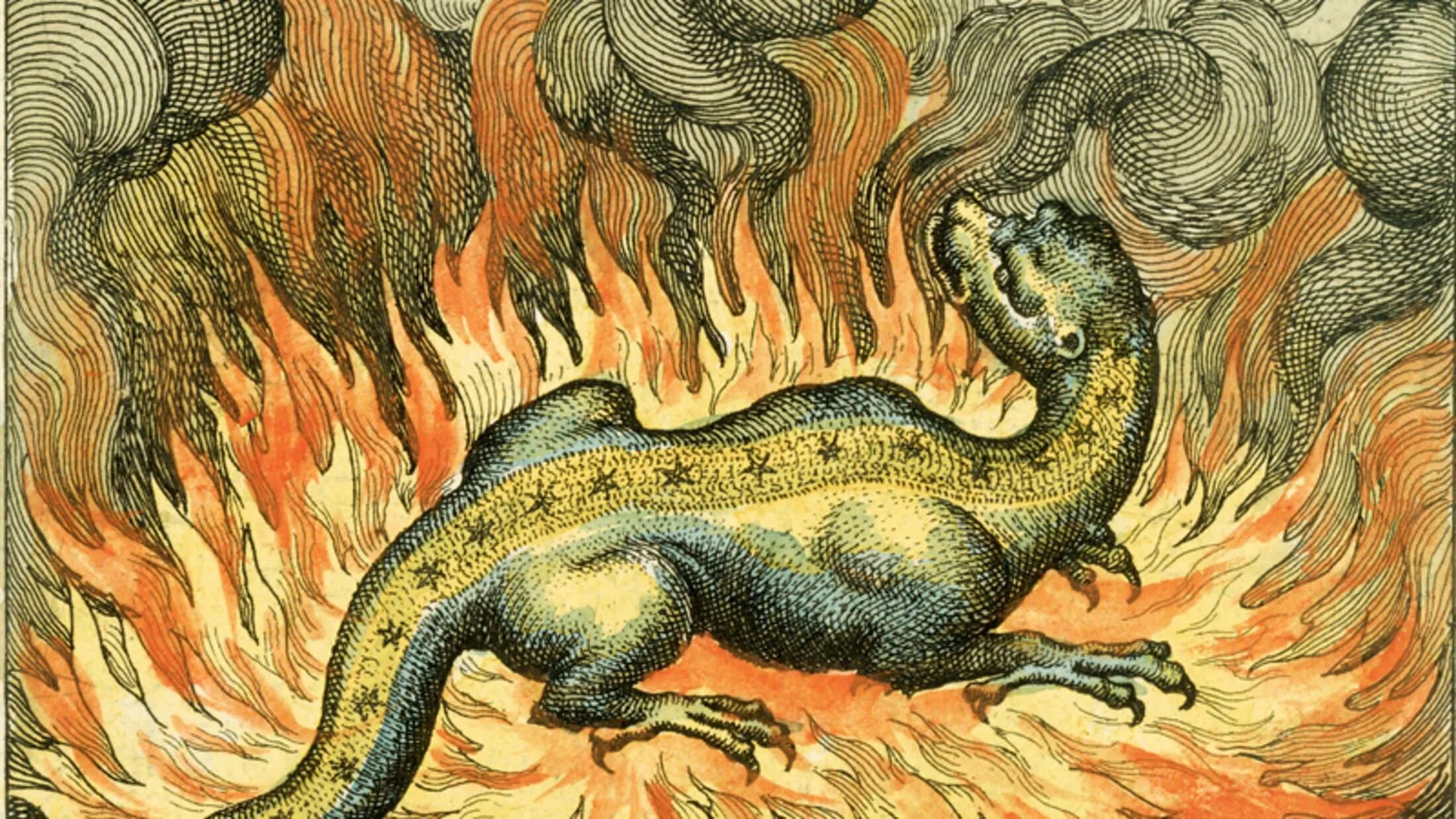 Великий полоз. Вуивр (вуивра). Вуивр (вуивра). Айтварас мифология. Перун и скипер змей.