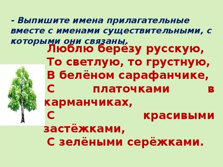 Береза посажена в краткой форме имени прилагательного