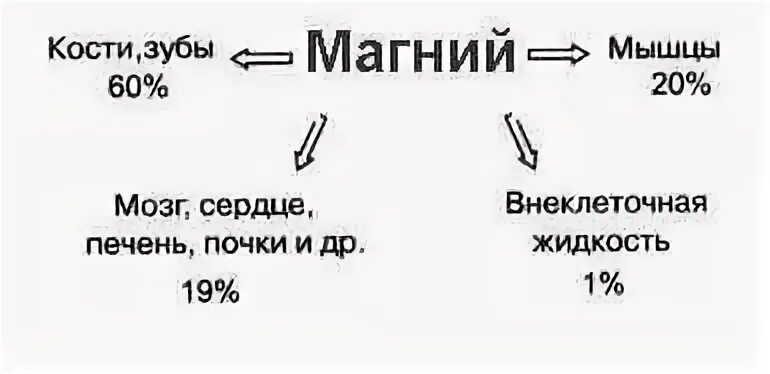 Повысить уровень магния в организме. Роль магния в организме человека схема. Биологическая роль магния в организме. Пути поступления в организм магния. Важность магния.