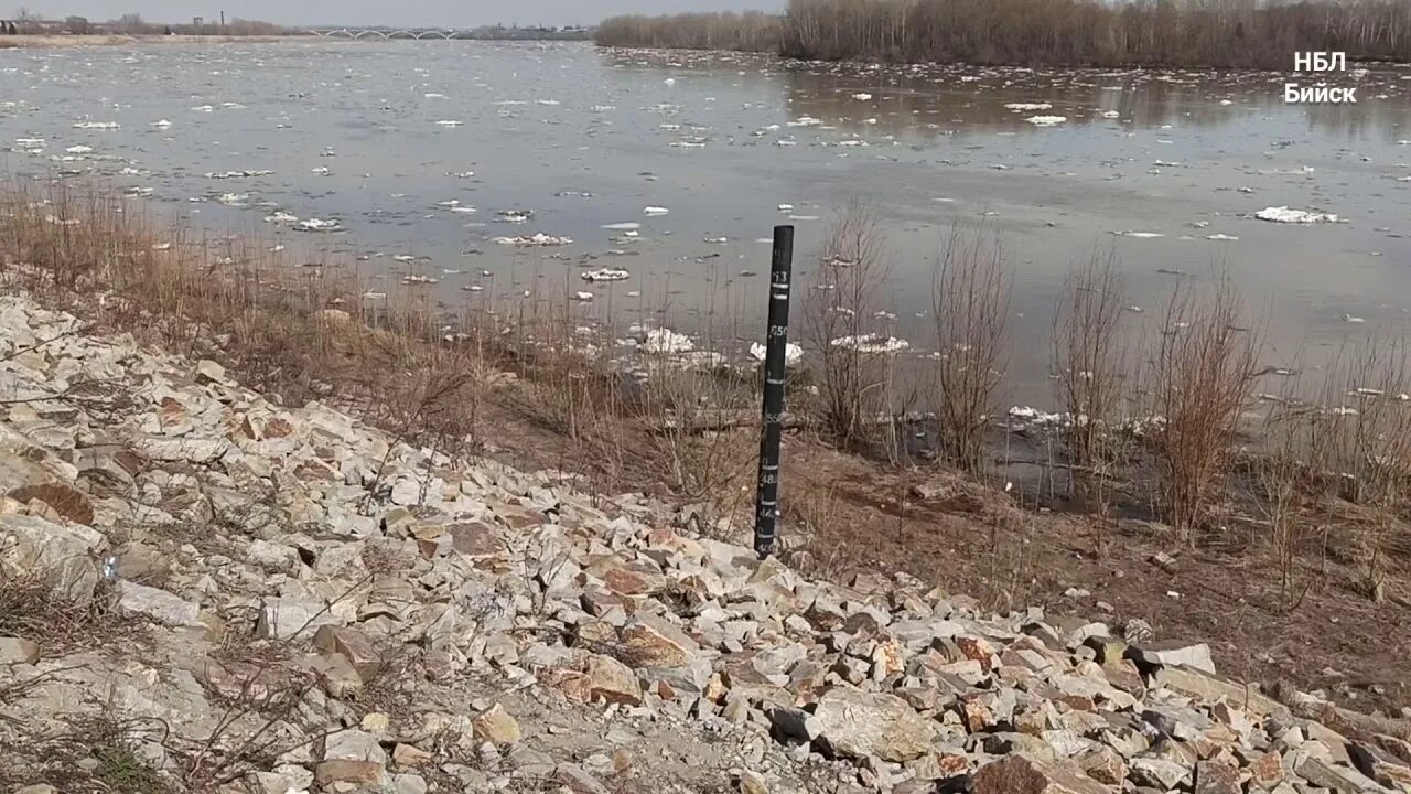 Бийск ледоход. Бийск весной. Бийск ледоход на реке Бия. Вода в реке бия