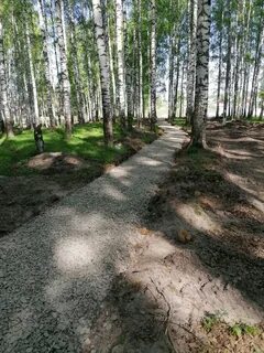 Канаш ибреси