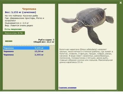 Сколько весит морская