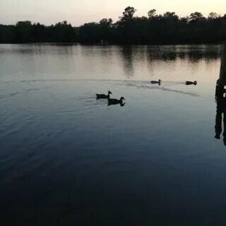 They run by the lake