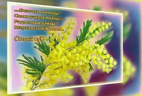 Стих ветка