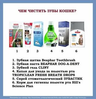 Чем чистить зубы кошке