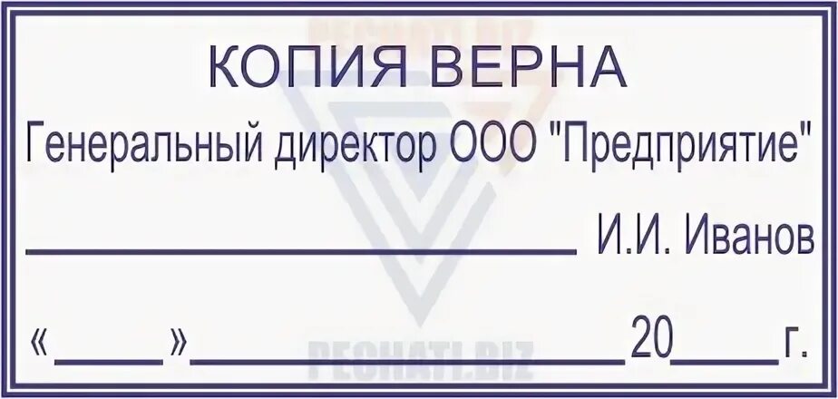 Директору копия