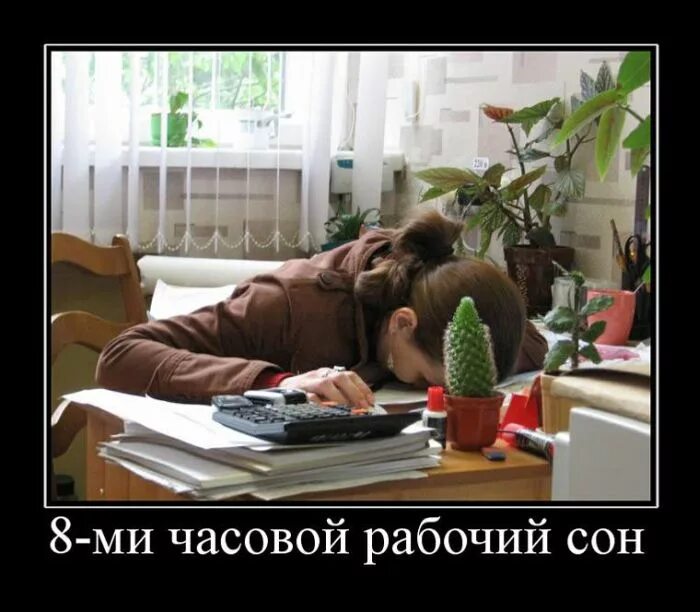 Сижу на работе не мое. Сон на работе прикол. первый день на работе прикол.