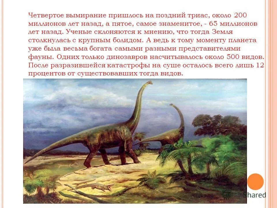 250 млн лет назад какой период. Земля 65 млн лет назад. Динозавры 65 млн лет назад. 65 Миллионов лет назад. Самые крупные вымирания в истории земли.