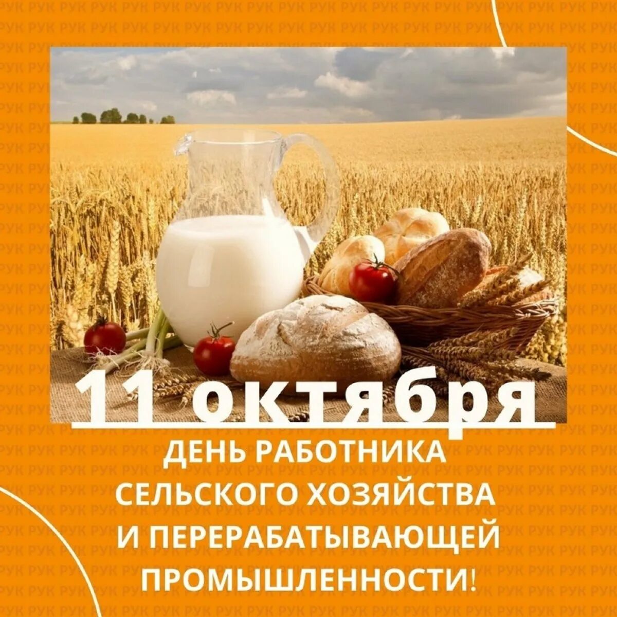 С днем перерабатывающей промышленности картинки красивые. С днем работника сельского хозяйства. С днем работника перерабатывающей промышленности. День работника сельского хо. С днем работника сельского хозяйства.