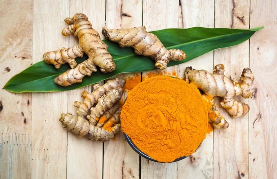 Куркума что за растение. Turmeric растение. Петрушка имбирь корица куркума. Куркума растение. Куркума доттера.