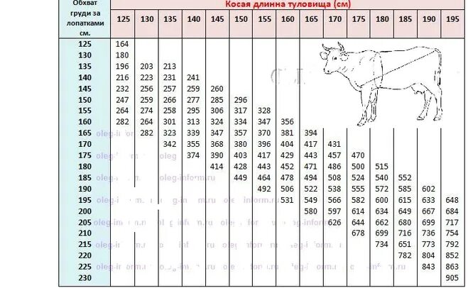 Живой вес быка цена. Таблица измерения веса молодняка КРС. Таблица замера КРС живым весом Быков. Схема обмера КРС живого веса. Таблица живого веса крупного рогатого скота.