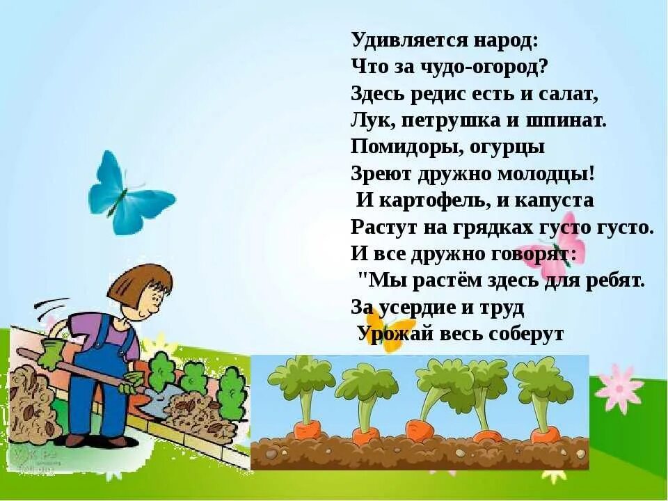 Посадили огород посмотрите что растет. Стихи про огород. Стихотворение про огород. Стихи про огород для детей. Детские стихи про огород.