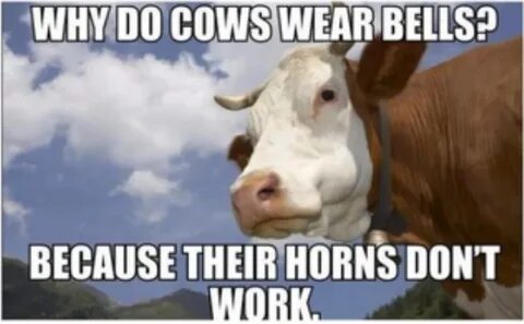 You got to be their