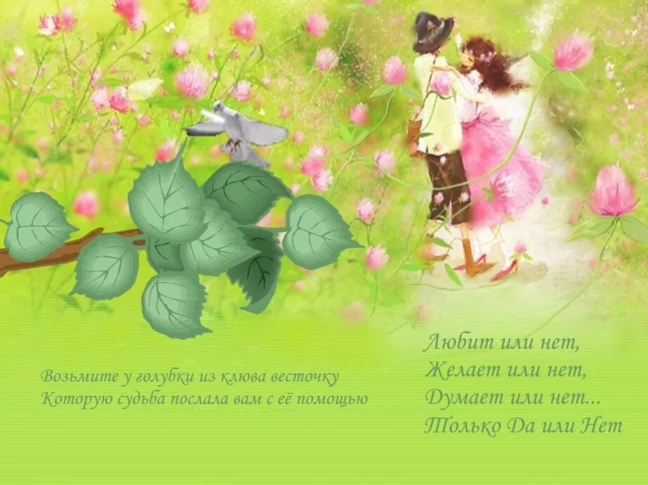 Гадания на картах. Градусник любви гадание. Гадание почтовая голубка фото. Гадание голубка. Руна берегиня.