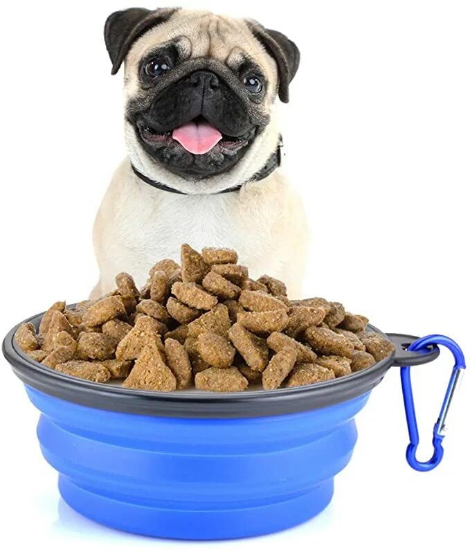Dog bowls