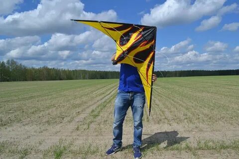 Развивающий пламя ветер развивать