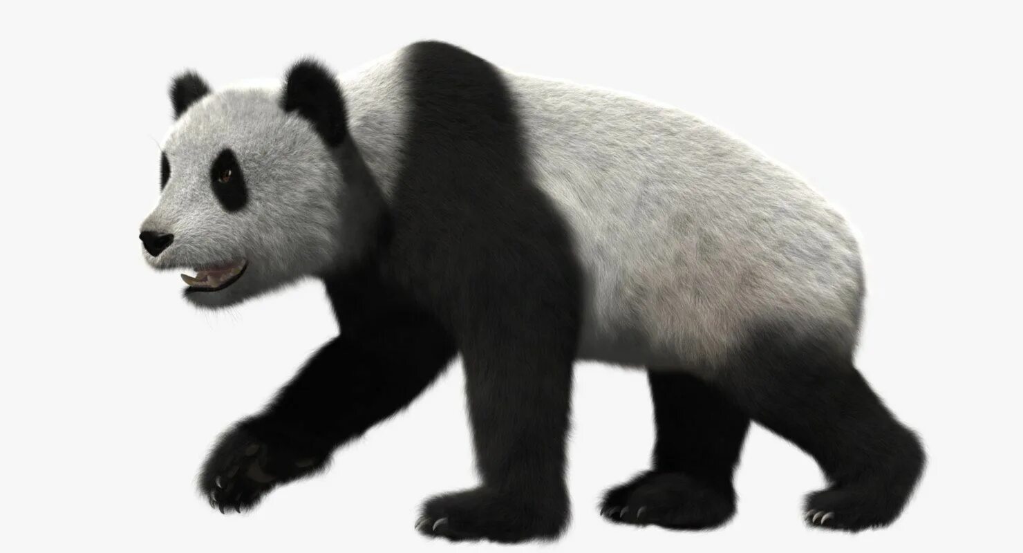 Pandas 3.0