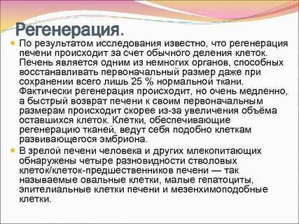 Регенерация у человека