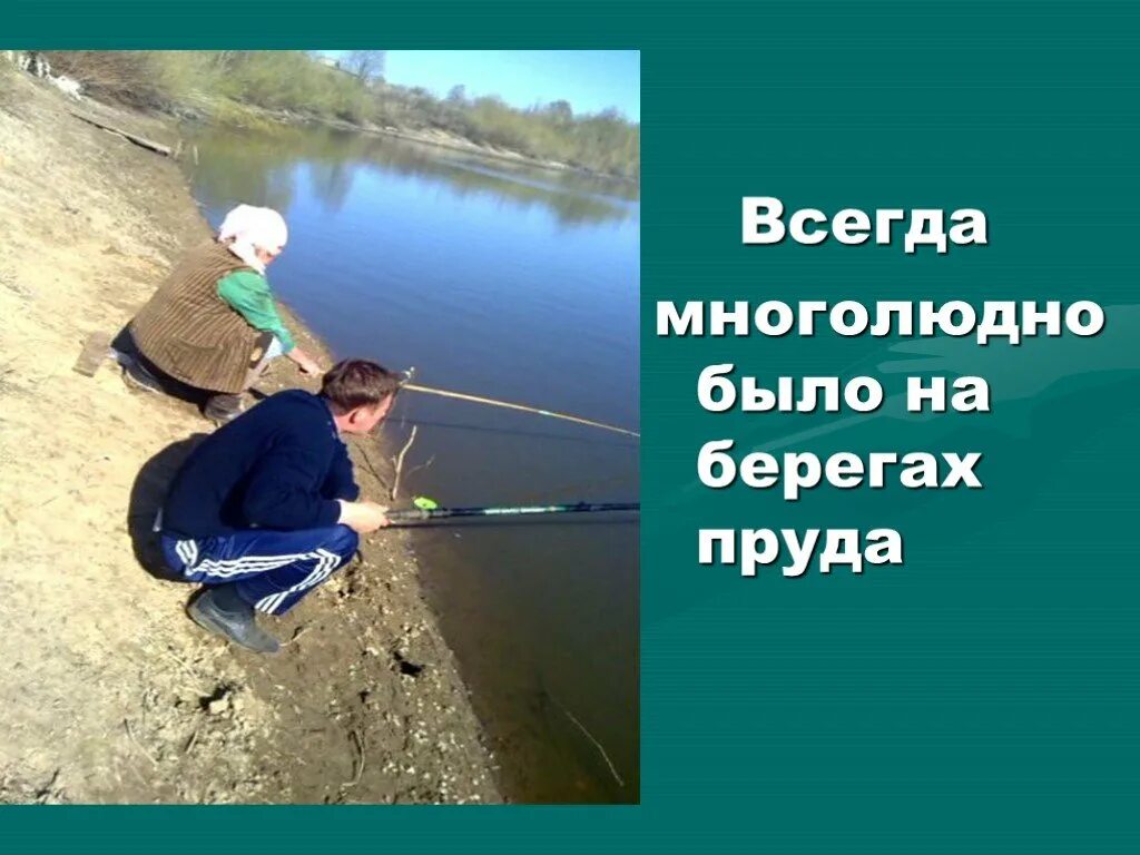 Профессия эколога в водоемах. Пропал пруд