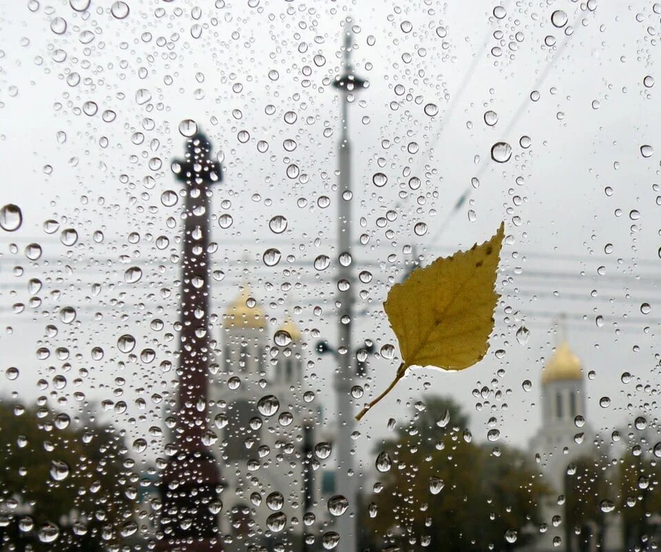 Поставь дождливый день. Осенний дождь. Осень дождь. Дождь за окном в городе. Дождь в городе.