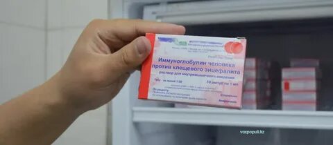 Укусил клещ иммуноглобулин