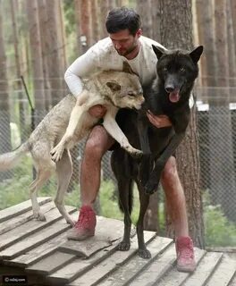 Собака мужского пола