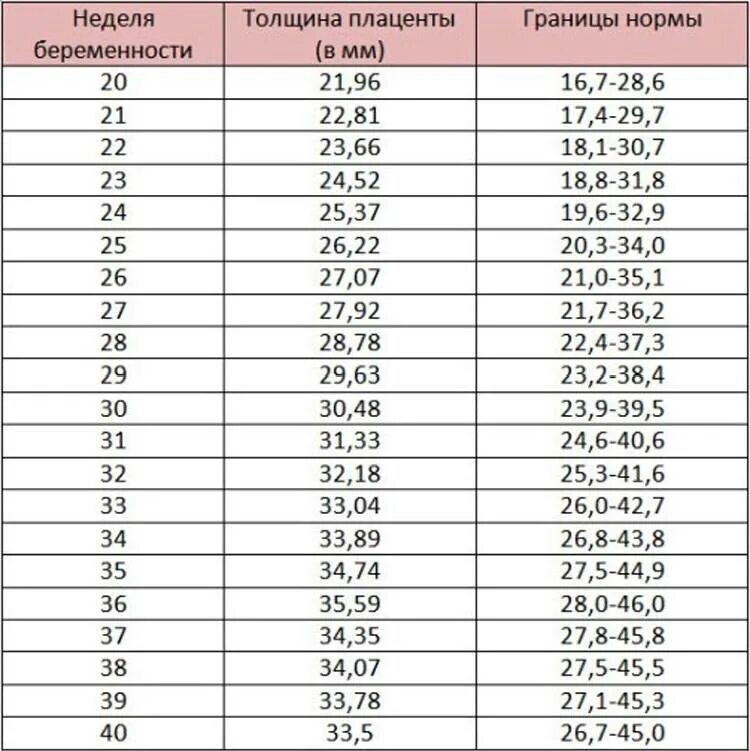 Матка на 33 неделе беременности