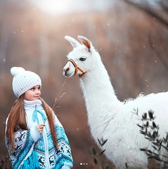 Девочка с альпакой. Самые красивые насти