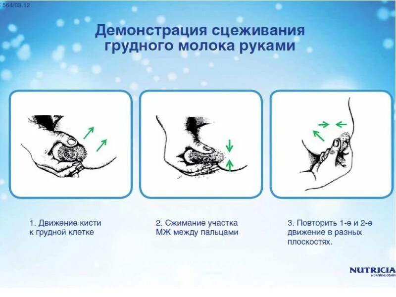 Как правильно сцедить молоко вручную. Как сцеживать молоко вручную. Как сцедить грудное молоко вручную. Как правильно сцеживать грудное молоко вручную. Нажать на сосок