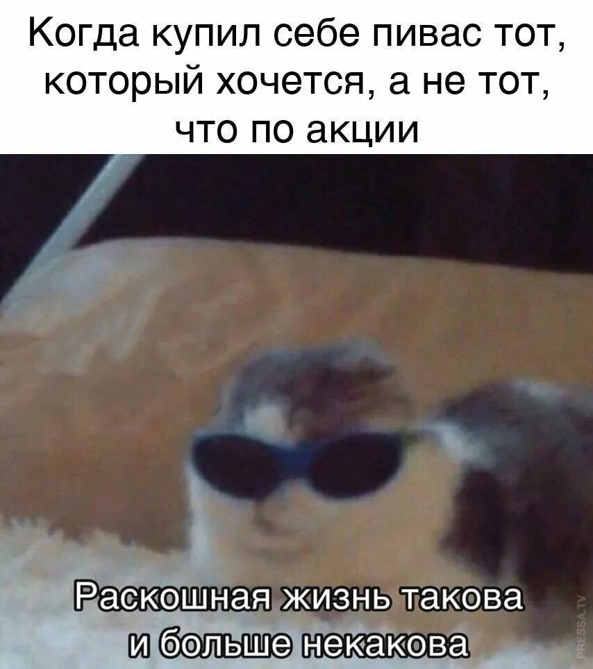Жизнь такова и больше никакова. Жизнь такова какова и больше никакова. Жизнь такова какова она. Мемы про жизнь. Жизнь такова какова она есть.