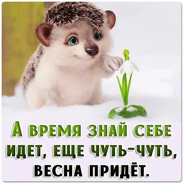 Скорее добрее. Скорее добрее