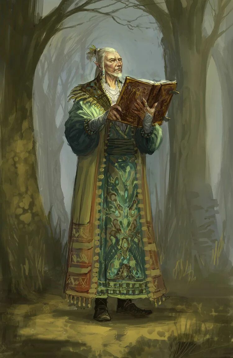 Кельтский жрец 5 букв. Elven Elder герой. Кельтские жрецы друиды. Старый Эльф. Лесной Жрец.