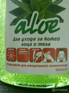 Линия алоэ