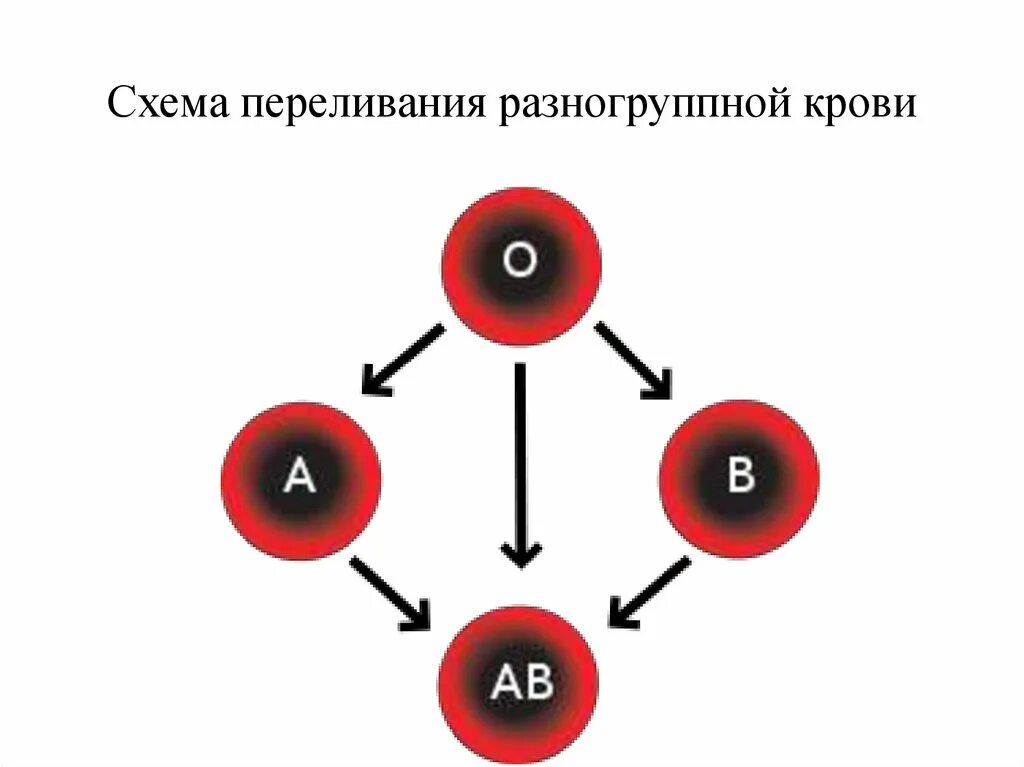 Схема групп крови. Схема переливания разногруппной крови. Правило переливания крови схема. Переливание крови схема крови.