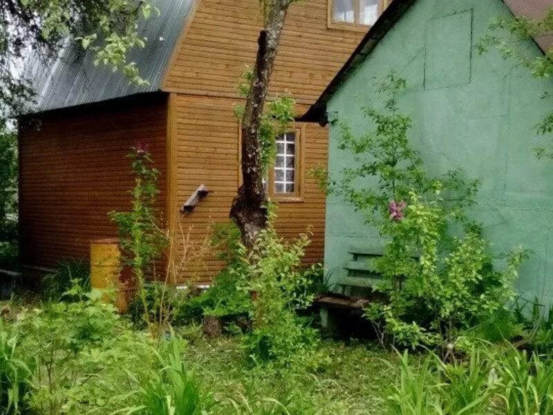 Снт южный отзывы. Снт южное красноярск. Снт южное сочи. Бегичево снт южное. Снт южный отзывы.