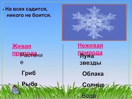 Условия жизни на земле 2 класс