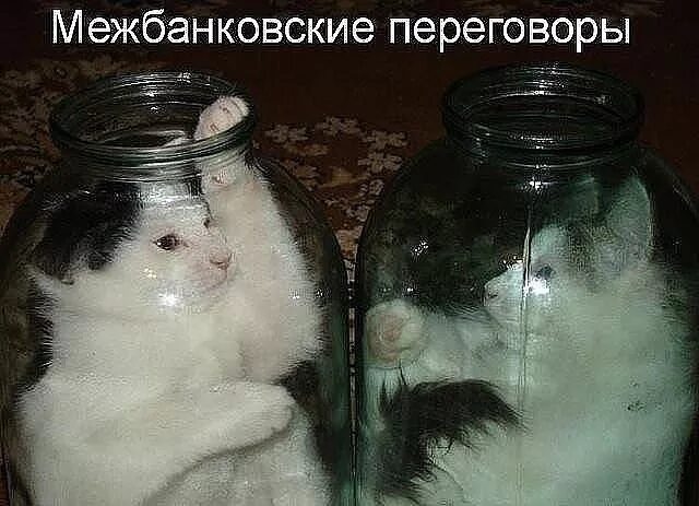 Приколы из инета - Страница 239 - Другие темы - Форум stitch.su