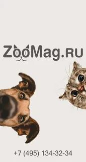 Зоомаг интернет