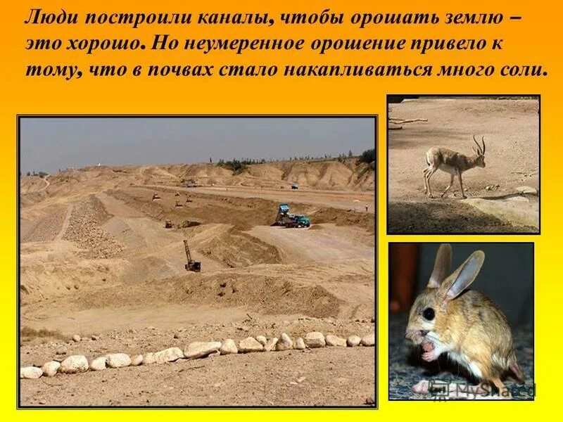 Сходства степи и пустыни. Степь и пустыня различия. Пустыня 4 класс окружающий мир тест. Пустыня краткое описание. Пустыня 4 класс окружающий мир тест.