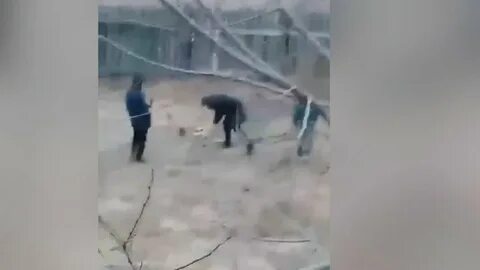 Издевались над слепой