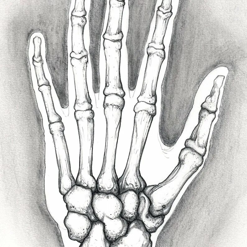 Рисунок кости на руке