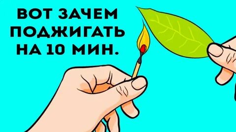 Зачем поджигают лавровый лист