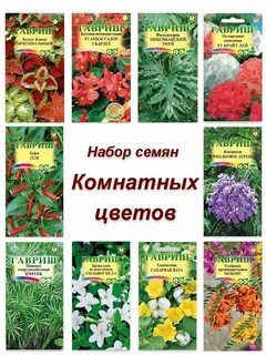 Семена комнатных цветов
