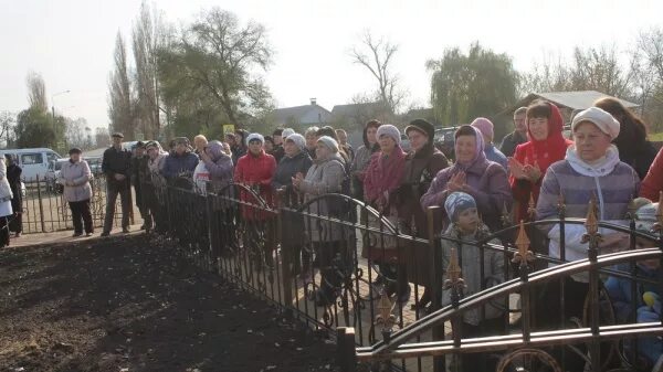 Чупакабра Воронежская область Хохольский район село Гремячье. Гремячье амбулатория. Чупакабра в Воронежской области село Гремячье. Чупакабра в Хохольском районе Воронежской области.