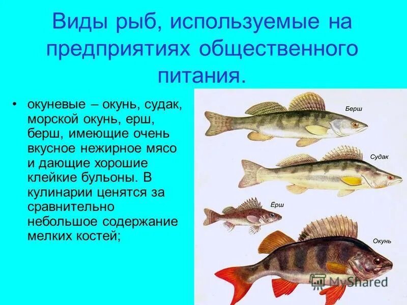 Рациональное использование рыб