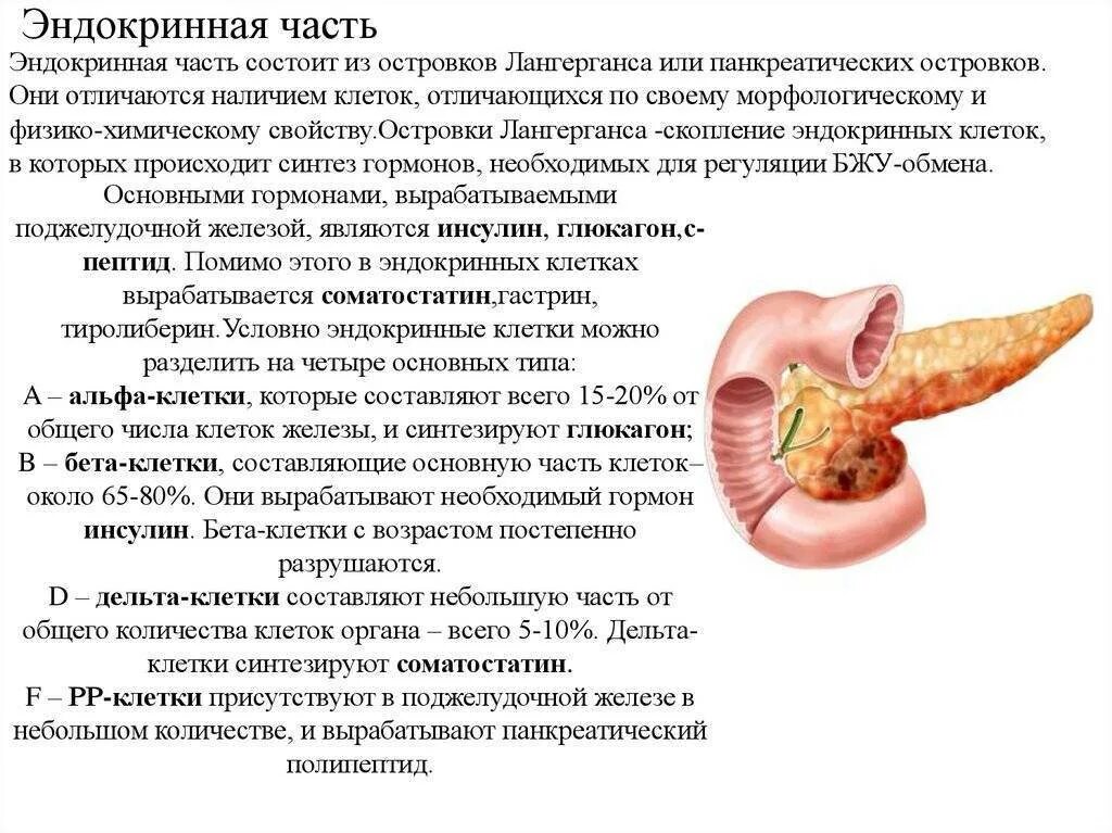 Можно вылечить панкреатит навсегда
