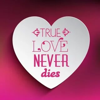 It s like you never loved