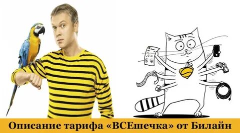 Билайк