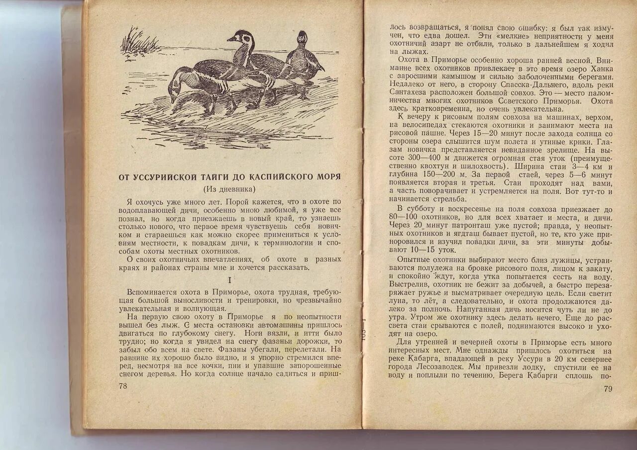 Отправляясь на охоту. Акимов опытный охотник. Это была трудная охота. Охотник текст. Акимов опытный охотник пробирался по кустарнику диктант