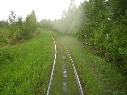 Узкоколейка в беларуси